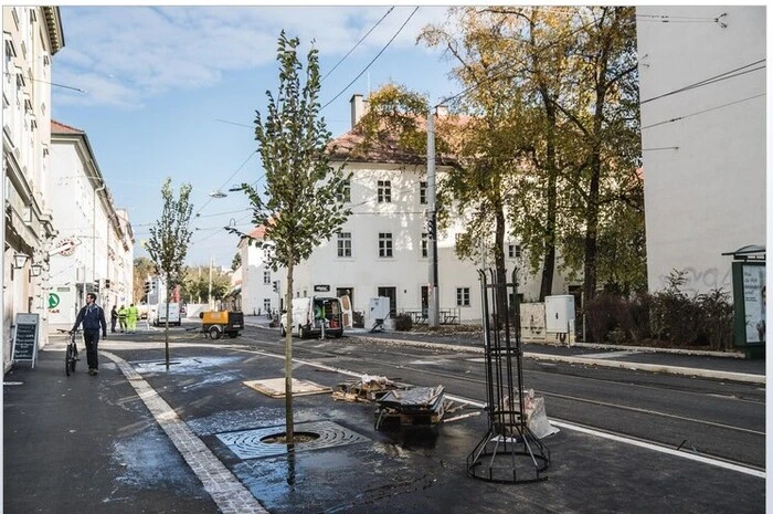 Zehn Bäume mit Wasserspeicher (Schwammstadtprinzip) und Pflanzung im Straßenraum kosten pro Stück 10.000 Euro.
