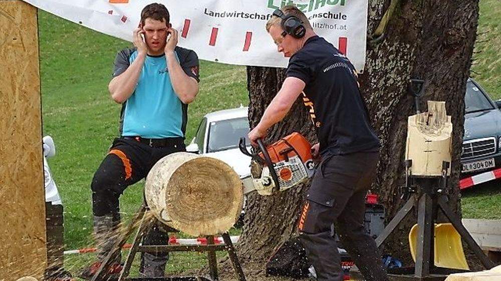 Holzarbeiten in Leutschach