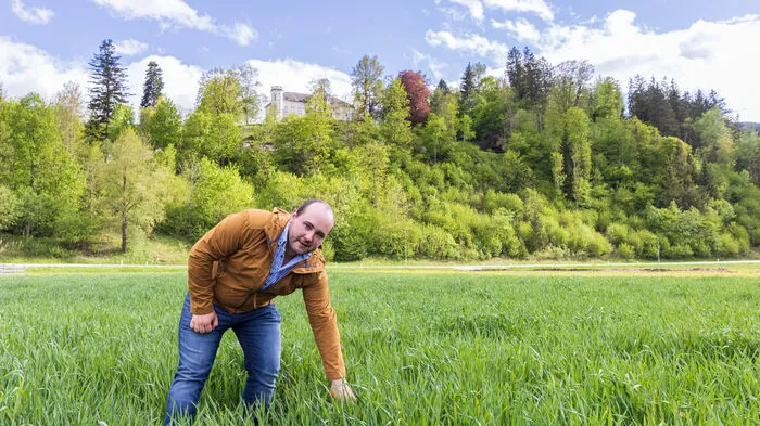 Martin Lackner auf seinem Bio-Dinkel-Acker, im Hintergrund Schloss Gumpenstein
