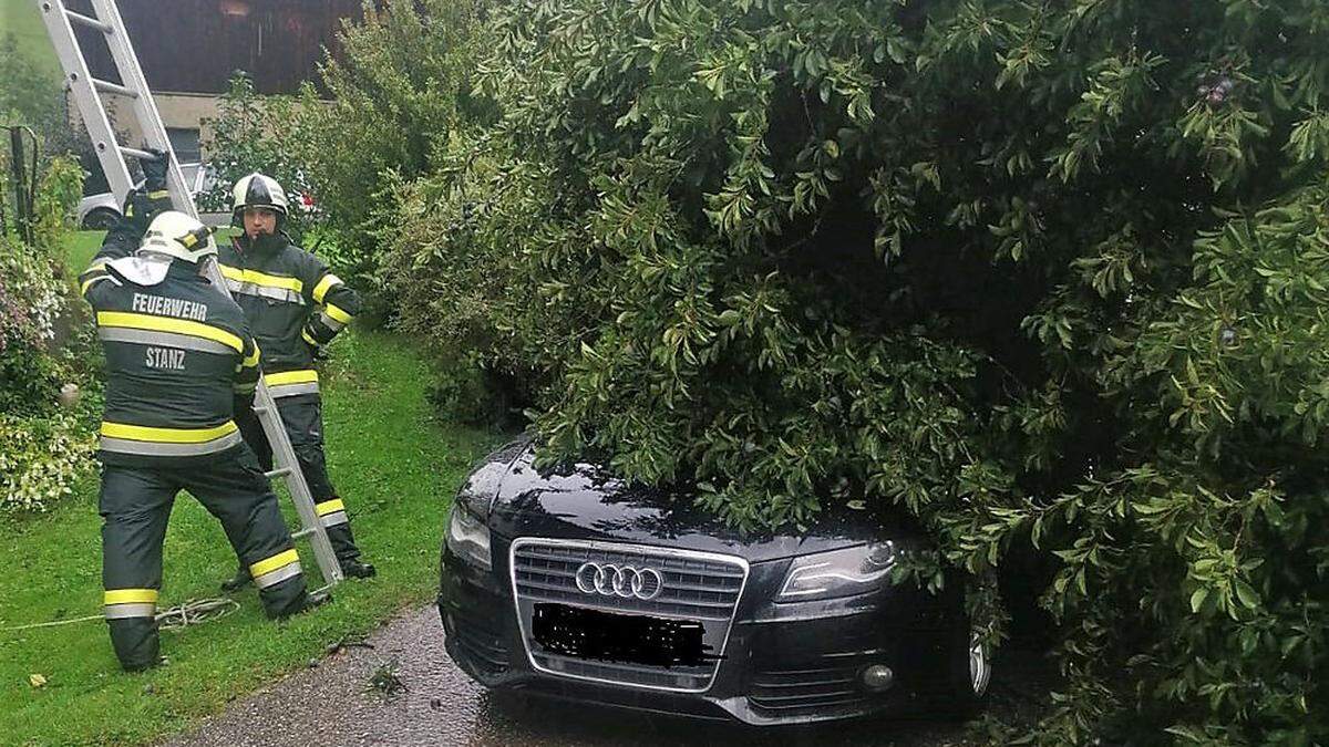 In der Stanz wurde ein Auto von einem umstürzenden Baum voll getroffen