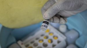 Das Mpox-Virus ist in Deutschland angekommen 