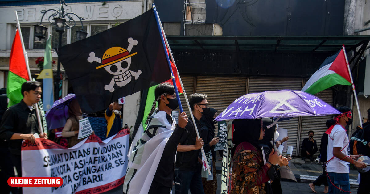 Ein Teil: junge Schwung Piratenflagge aus Protest