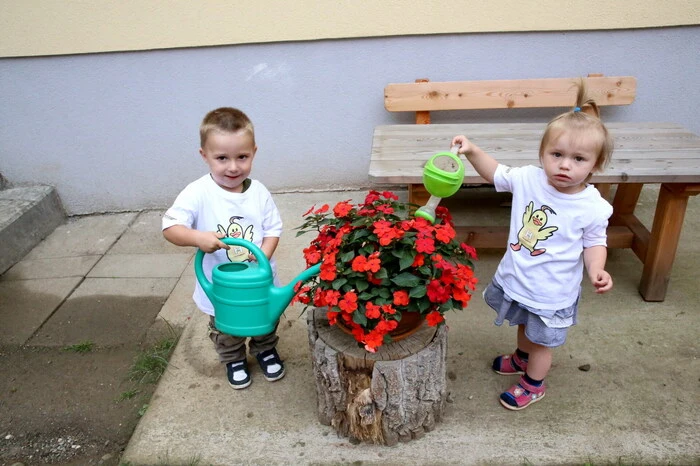 Übrigens: Rund zwei Monate wurden die Blumen im Garten der Kindertagesstätte von den Junggärtnern unter Anleitung ihrer Betreuerinnen liebevoll gehegt und gepflegt.
