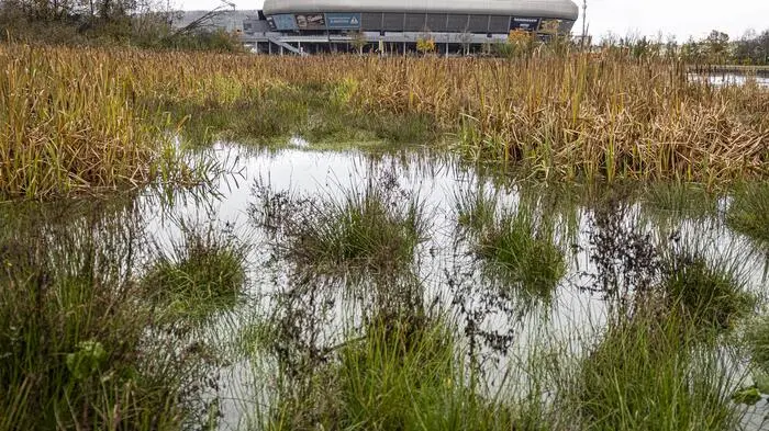 Hochwasser Regen Wasser Überflutung Glanfurt Sportpark Viktring Klagenfurt November 2023