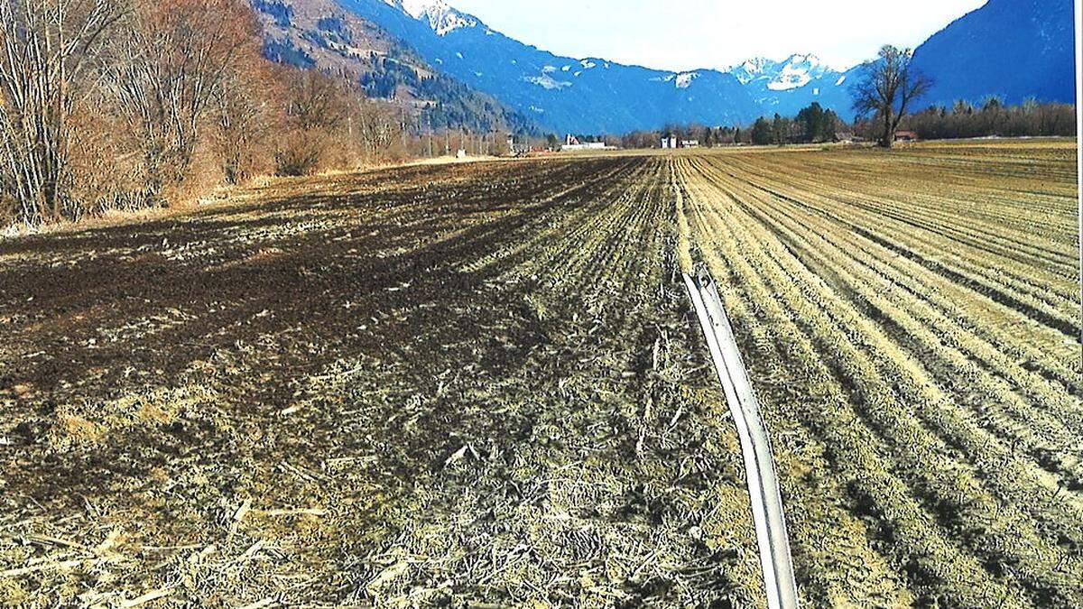 Wurde auf diesem Feld in Dölsach Klärschlammkompost aufgebracht? Das Foto soll es beweisen 