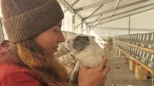 Meerschweinchen & Co sind die Publikumslieblinge der Tier-Schau