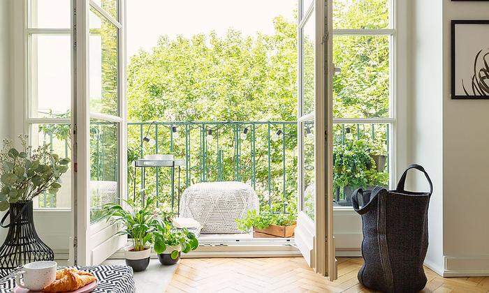 Egal ob in der Wohnung oder am Balkon: natürliches Grün fördert die Entspannung. 