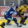 Eishockey, 2024- 10-26; Steindorf blau/weiss - Spittal gelb/schwarz
im  Bild:  Steindorf  Martin Oraze - Spittal Kucher  Florian
PhotoCredit: Hermann Sobe