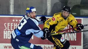 Die AHC 1-Division ist mit vielen Ex-Bundesligaspielern das Aushängeschild des Kärntner Eishockeys