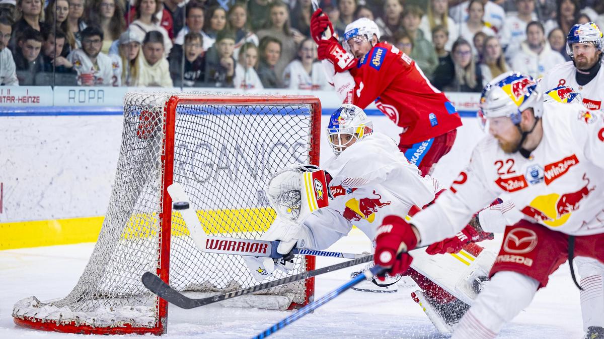 Atte Tolvanen hat mit Salzburg bereits drei Meistertitel geholt