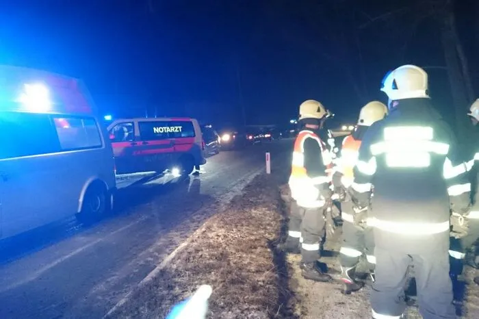 Der Einsatztrupp der FF Weinitzen-Oberschöckl rettete den Lenker aus dem Auto und holte den Pkw aus dem Straßengraben.