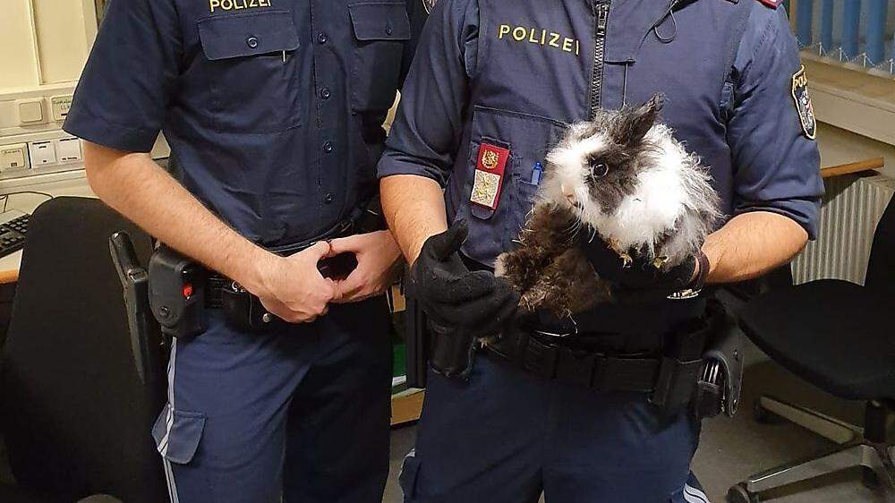 Das ausgesetzte Tier landete bei der Polizei