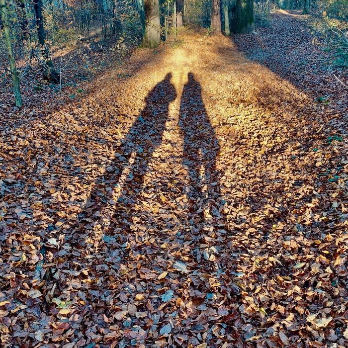 Lange Schatten  | Herbst