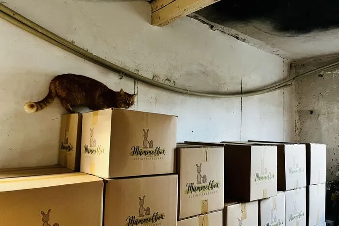 "Mümmelboxen" und Kater bei der Qualitätskontrolle.