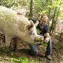 David Richter mit einem seiner Schweine