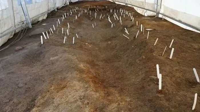 Mysteriöse Bootsgräber aus der Wikingerzeit entdeckt
