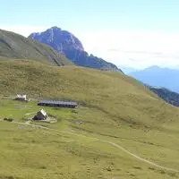 Auf einem Weg in Richtung Jaukenalm im Gailtal passierte der Unfall (Archivfoto)
