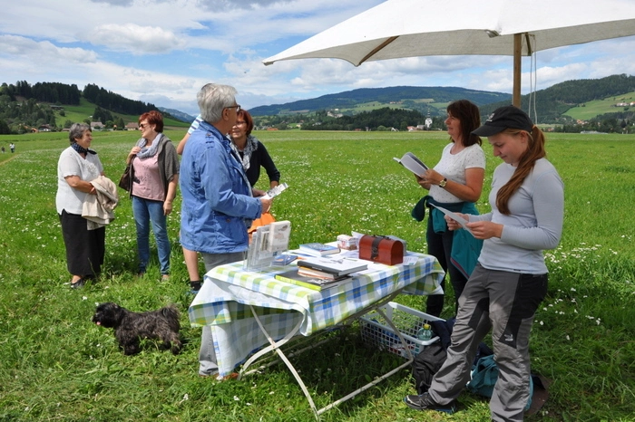 Weitere Bilder!