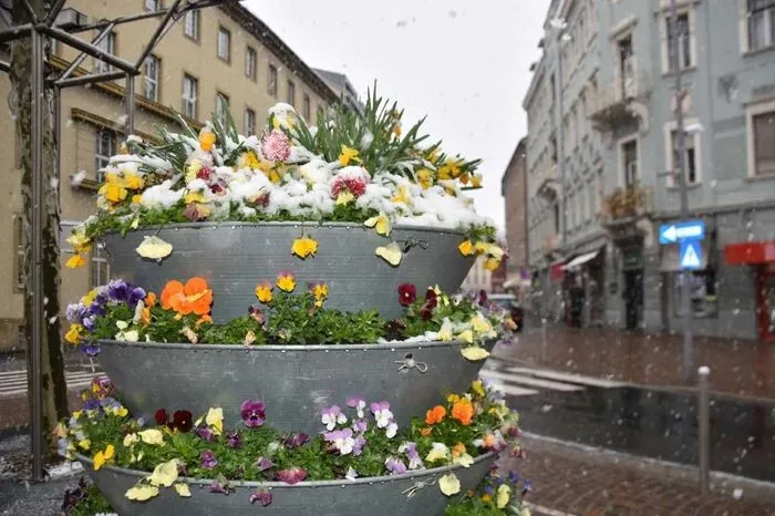 Der Schnee sollte in Villach nur wenige Stunden ausharren