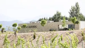 Das Weingut „Domäne Lilienberg“ der Familie Orasch