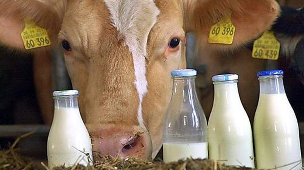 Ende März ist das System der Milchquote Geschichte