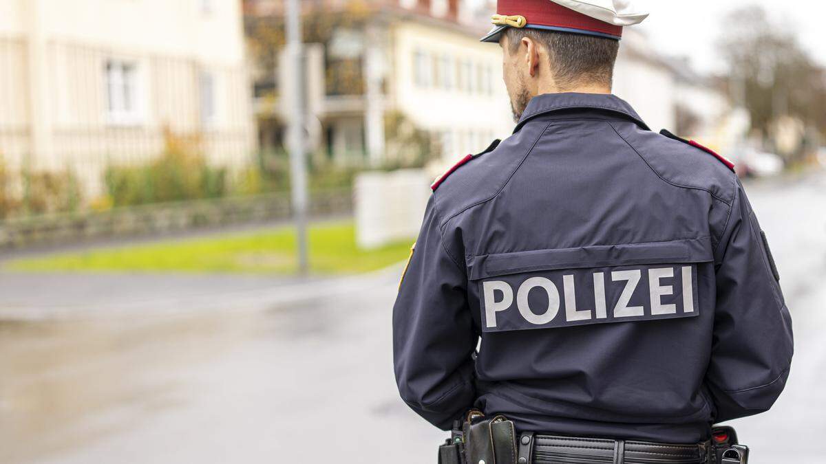 Die Polizei nahm die Verfolgung des Kastenwagens auf und konnte ihn schließlich anhalten