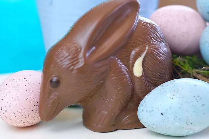 Australien: Den Osterhasen gibt es dort kaum. Die Geschenke bringt der Osterbilby. Das ist ein kleines Beuteltier mit langer Nase und großen Ohren.
