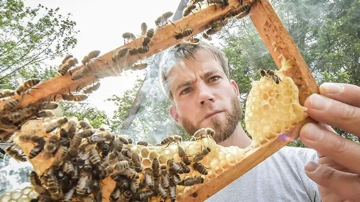 Wie viele heimische Imker hat auch Robert Rust aus Gröbming mit geringen Erträgen beim Blütenhonig zu kämpfen