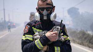 Ein Feuerwehrmann, der zwei Kaninchen und eine Katze retten konnte