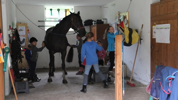 Seit 1. August betreibt Kerstin Celin-Lemmerer in Obdach einen Reiterhof. Schwerpunkte setzt sie auf Reitpädagogik und die Liebe zum Tier.