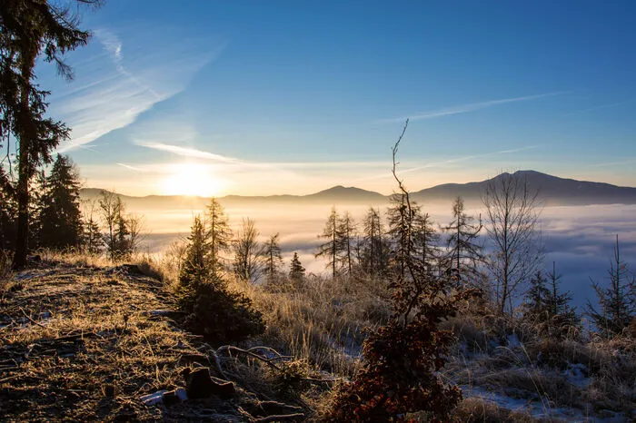Traumhafter Sonnenaufgang über dicker Nebeldecke: Bei Rattenberg wurde dieses herrliche Winterfoto von Lukas Umundum aufgenommen