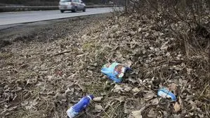 Noch immer wird Müll achtlos in der Natur entsorgt oder während des Fahren aus dem Fenster geworfen