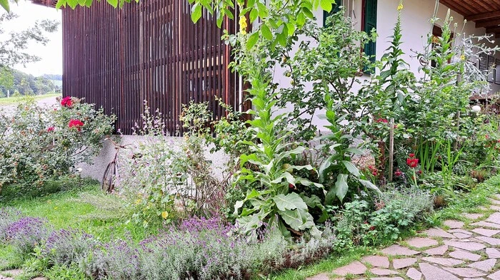 Der Garten von Franziska Skoff glänzt durch seine Nachhaltigkeit