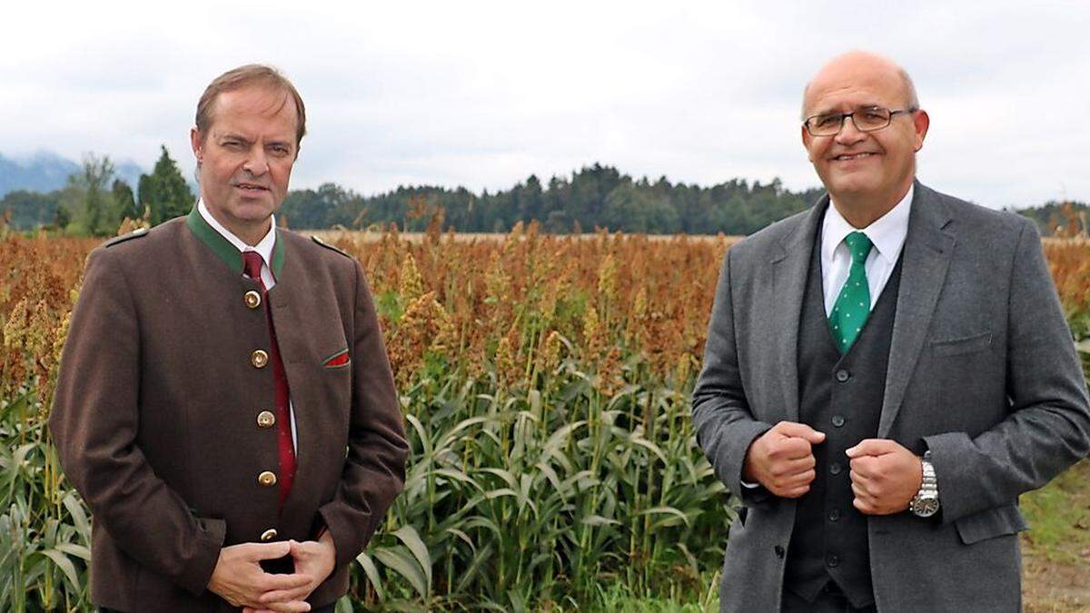Johann Mößler und Erich Roscher, im Hintergrund Körnerhirse, die besonders bei Schweinemast als Futter zum Einsatz kommt. 