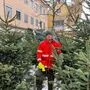 Manfred Ploner verkauft Christbäume am Kaiser-Josef-Platz