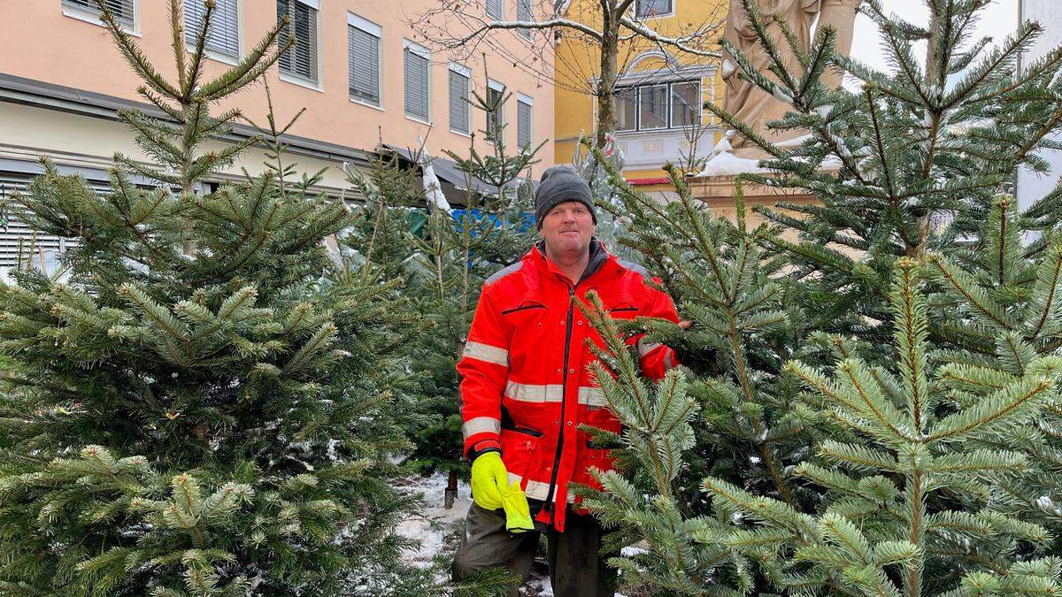 Manfred Ploner verkauft Christbäume am Kaiser-Josef-Platz