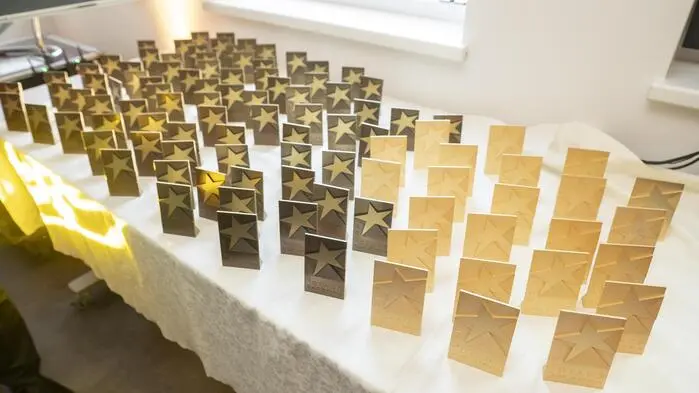 Murtaler und Murauer Fachkräfte wurden am 3. Juni im Festsaal der WKO Murtal als „Stars of Styria“ ausgezeichnet. 