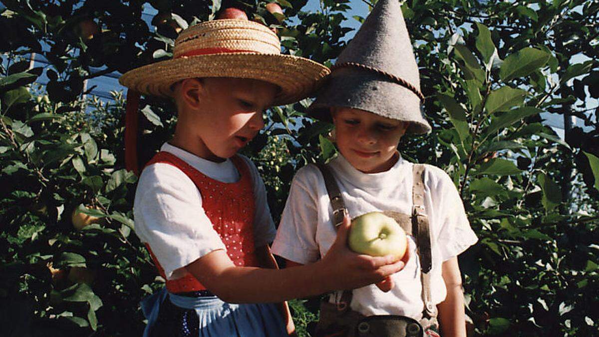 Mit Spruch über den „Seierlingbam“ ärgerten früher Kinder einander