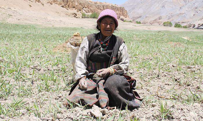 Bäuerin aus Sam Dzong auf ihrem vertrockneten Feld