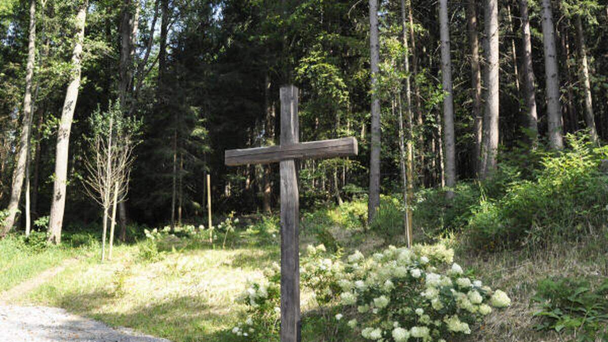 Immer mehr Menschen wünschen sich ihre letzte Ruhestätte in einem Wald