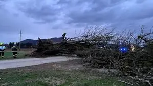 In Ruden verlegt ein umgestürzter Baum die Straße | In Ruden verlegt ein umgestürzter Baum die Straße