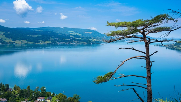 Im Attersee kam am Freitag ein 57 Jahre alter Mann ums Leben