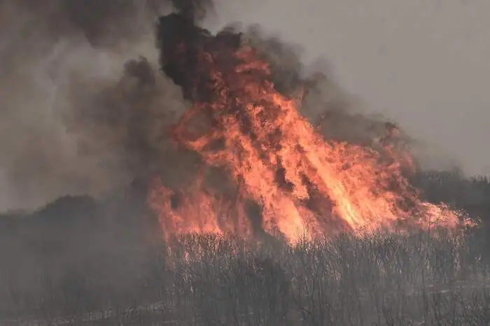 Nach Angaben örtlicher Feuerwehrleute erstreckten sich die Feuer am Montag über fast zehn Kilometer.