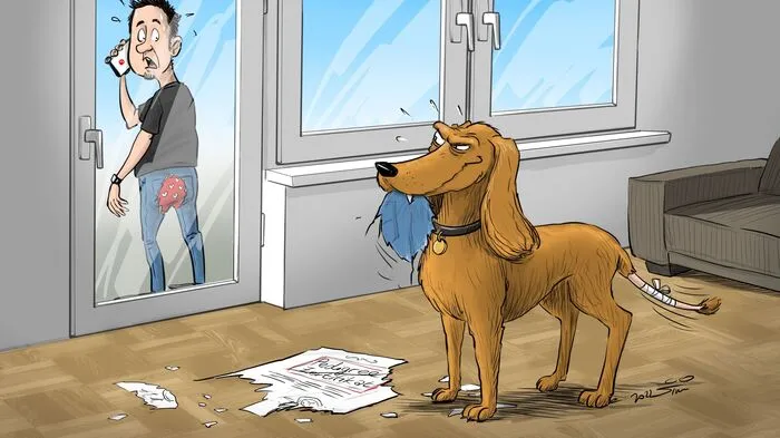 Tiere sind keine Sache, beim Tierkauf gelten gesetzlich allerdings die Regeln wie beim Kauf eines Gegenstandes