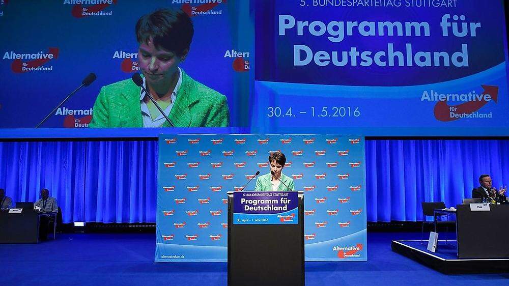 Parteichefin Frauke Petry