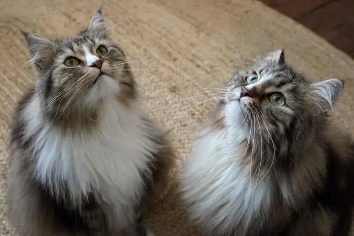 Freya und Ylvie sehen etwas Spannendes in der Luft.