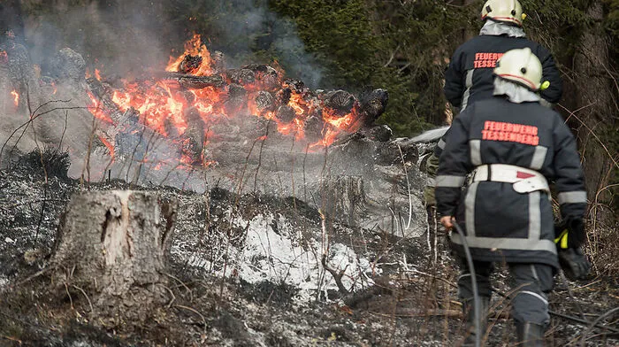 Um Waldbränden vorzubeugen, wurde Verordnung nach dem Forstgesetz erlassen
