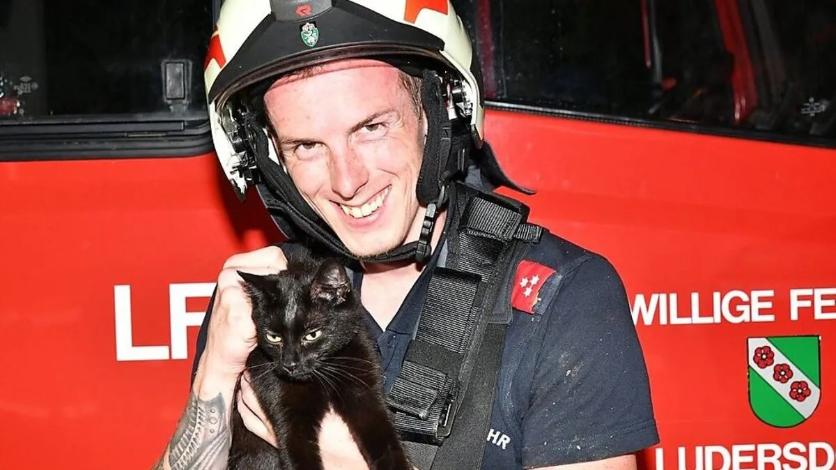 Benjamin Banfy holte in einer Rettungsaktion der Freiwilligen Feuerwehr Ludersdorf die Katze vom Baum 