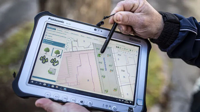 Im Baumkataster sind rund 15.500 Bäume verzeichnet, die vom Stadtgartenamt betreut werden. Sie müssen in bestimmten Intervallen betreut werden. Jeder Baum hat eine Nummer.