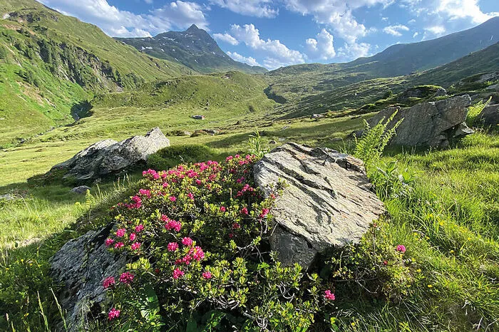 Kelchsau im Tiroler Unterland: urige Almen und Bergseen.
